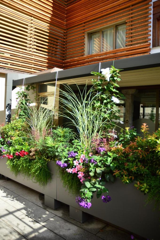 Locanda Blum In Rovetta Kültér fotó